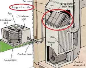 evaporator coil1