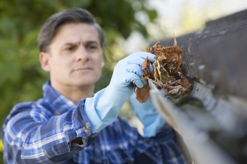 Man removing leaves from his home's gutters - preparing plumbing for cold weather.